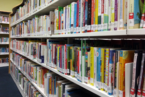 Image of books on shelves in the Library