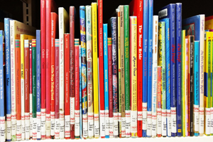 Image of children's Spanish language library books on shelf 