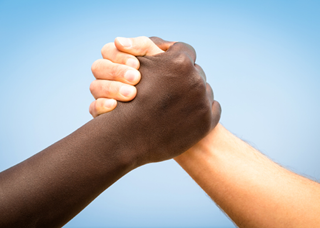 Image of hands together in solidarity - one black and one white