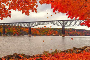 Photo of the Walkway Over the Hudson Bridge in the Fall